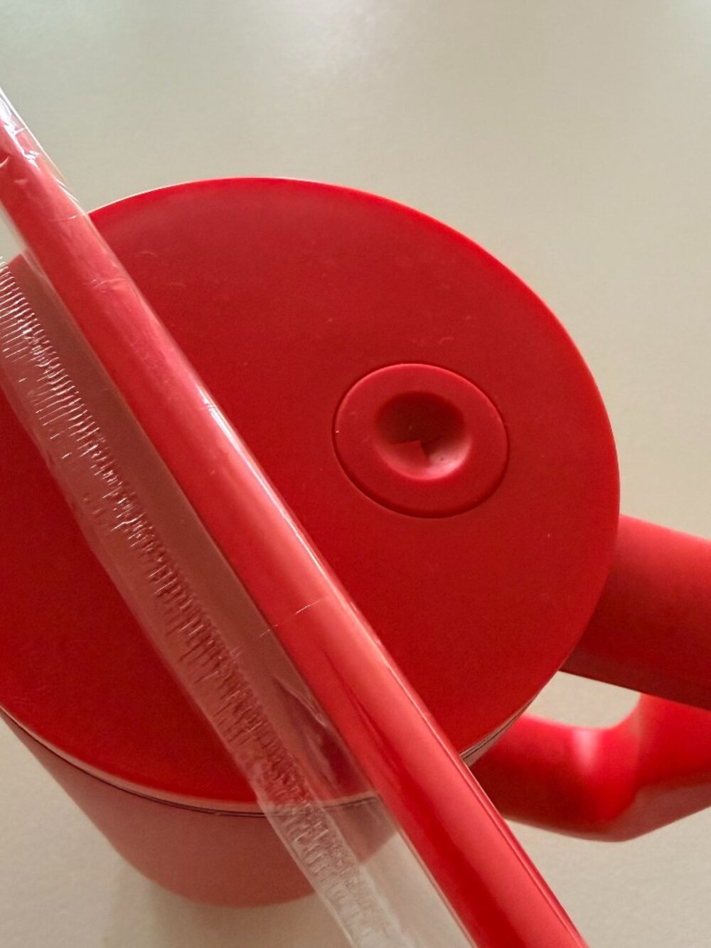 New Insulated 32 Ounce Water bottle with Straw RED